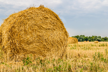 Similar image 19189900