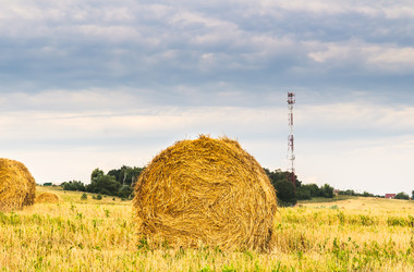 Similar image 19189839