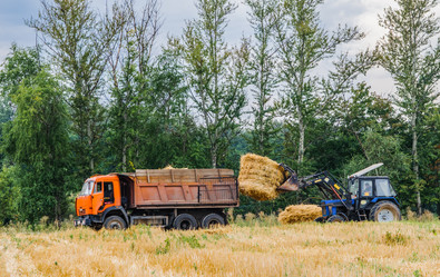 Similar image 19191987