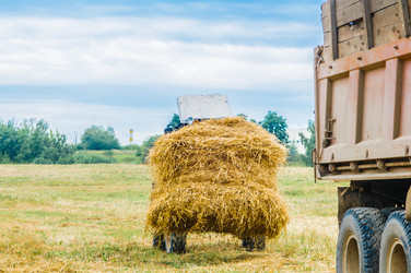 Similar image 19191989