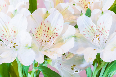 Similar image 19192560