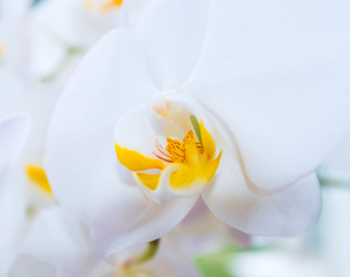 Similar image 19189302