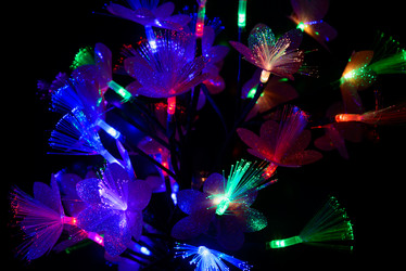 Similar image 19189883