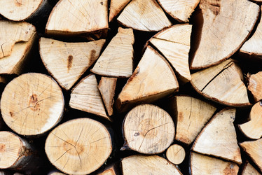 Similar image 19192001