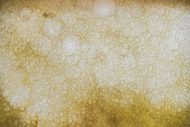 Similar image 19191994