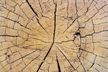 Similar image 19192066