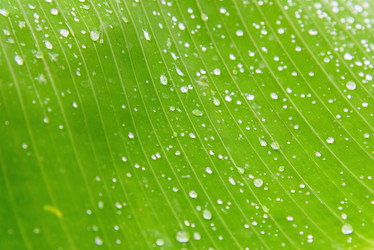 Similar image 19192158