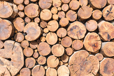 Similar image 19192160