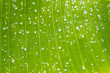 Similar image 19192179