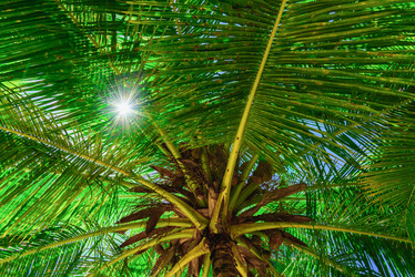 Similar image 19192238