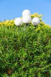 Similar image 19192561