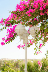 Similar image 19192658