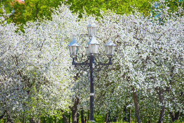 Similar image 19192843