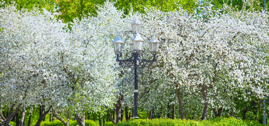 Similar image 19192845