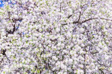 Similar image 19189806