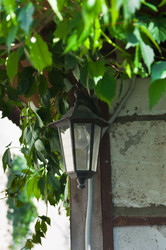 Similar image 19192089