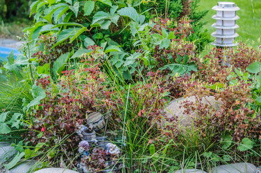 Similar image 19192077