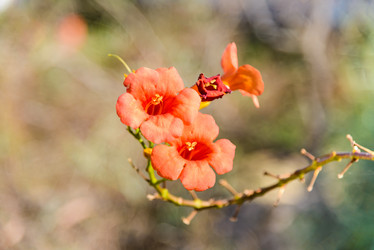 Similar image 19192162