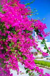 Similar image 19192202