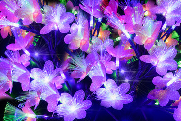 Similar image 19192240