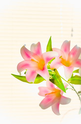 Similar image 19192241