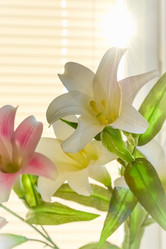 Similar image 19192234