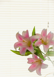 Similar image 19192236