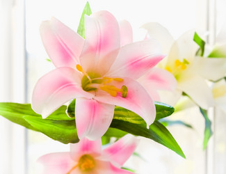 Similar image 19192261