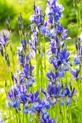 Similar image 19192298