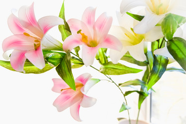 Similar image 19192313