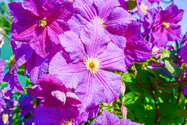 Similar image 19192294