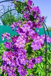 Similar image 19192319