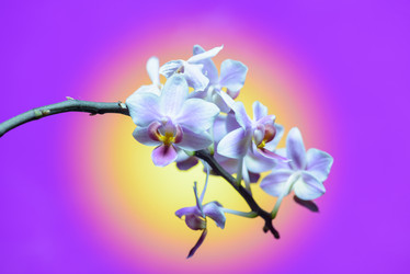 Similar image 19192376