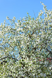 Similar image 19192378