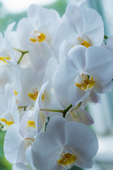 Similar image 19192646