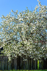 Similar image 19192667