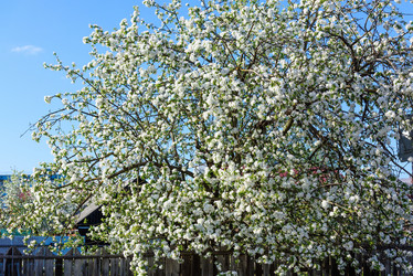 Similar image 19192673