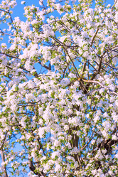 Similar image 19192712