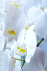 Similar image 19192715