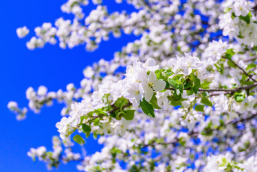 Similar image 19192705