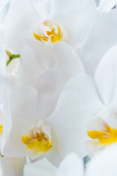 Similar image 19192710