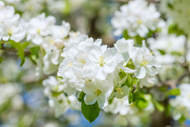 Similar image 19192714