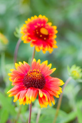 Similar image 19192718