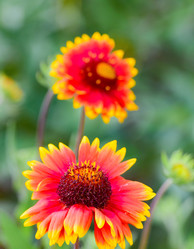 Similar image 19192741