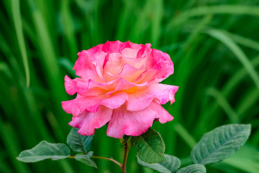 Similar image 19192831