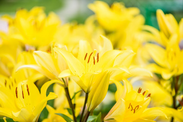 Similar image 19192833