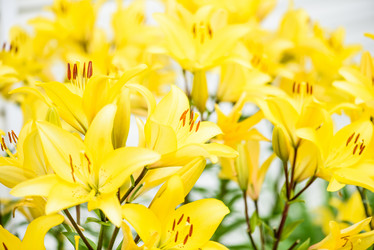 Similar image 19192856