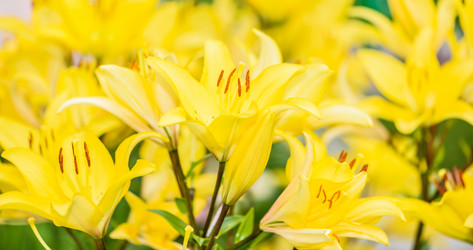 Similar image 19192785