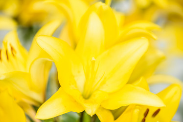 Similar image 19192876