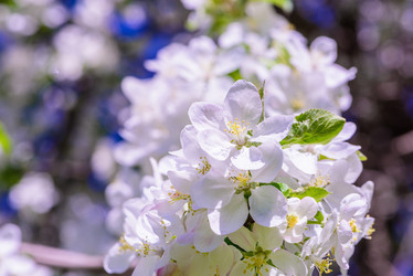 Similar image 19192880